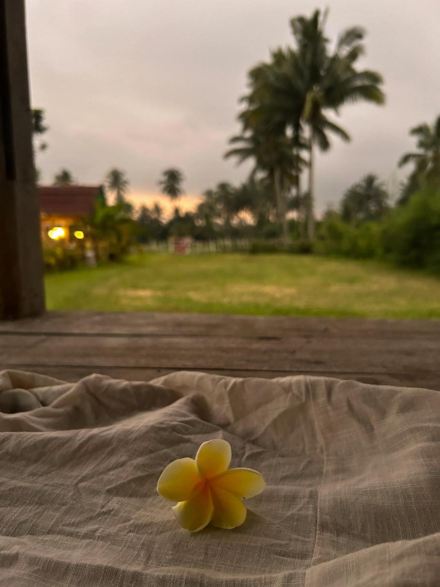 Linkgreen Homestay Lombok تيتيباتو المظهر الخارجي الصورة
