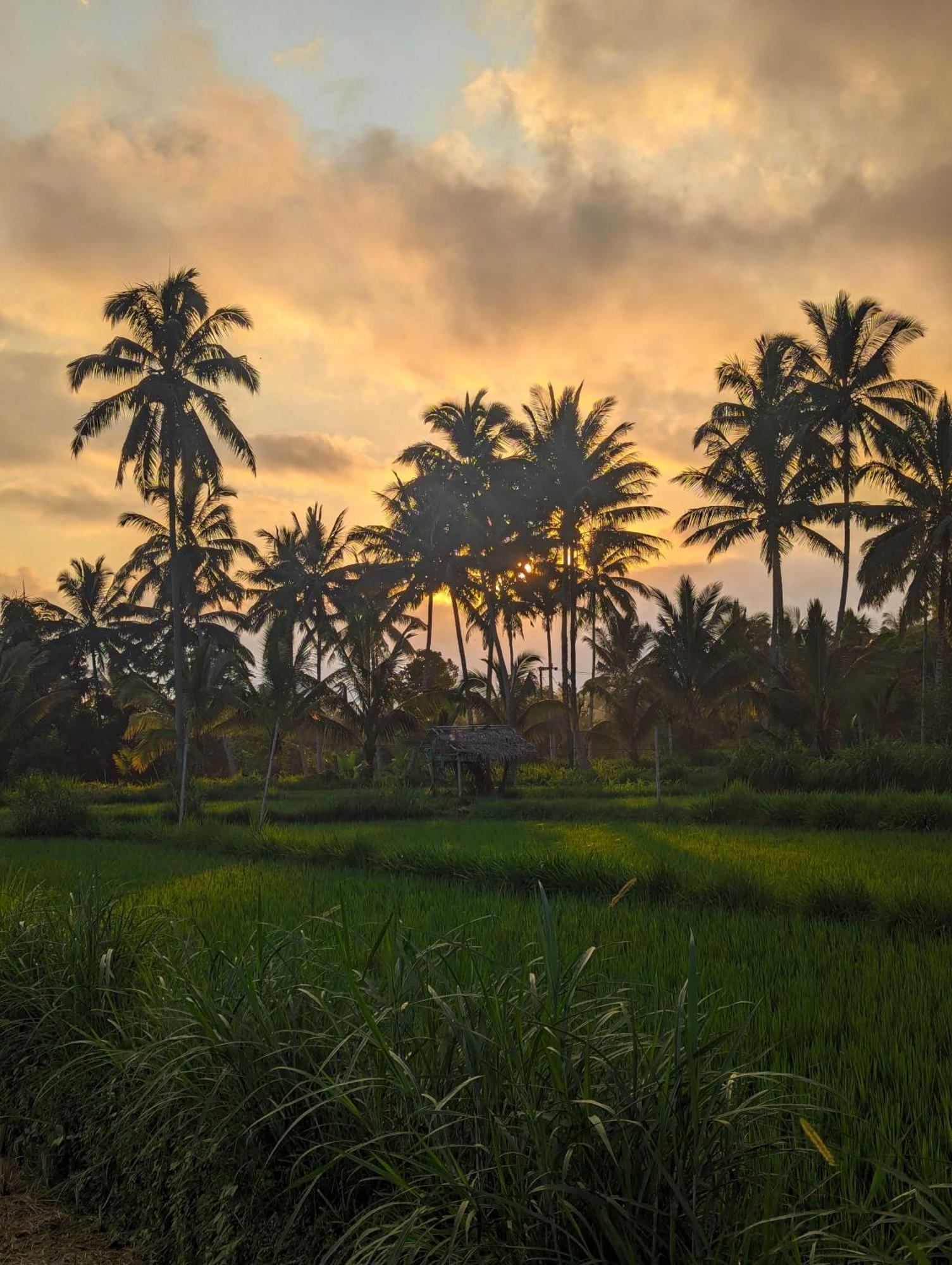 Linkgreen Homestay Lombok تيتيباتو المظهر الخارجي الصورة